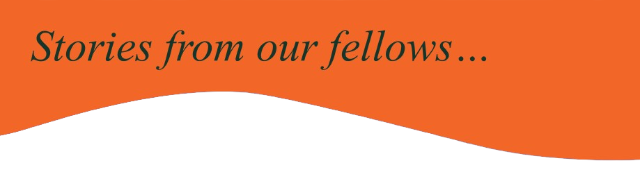 stories_from_our_fellows-removebg-preview